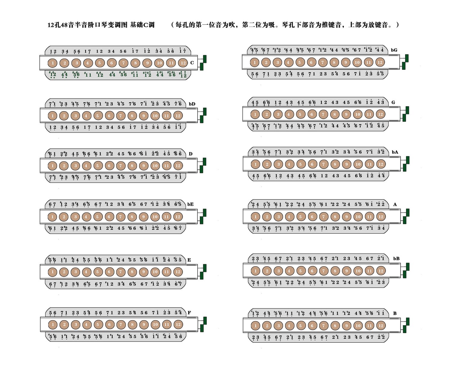 口琴音阶